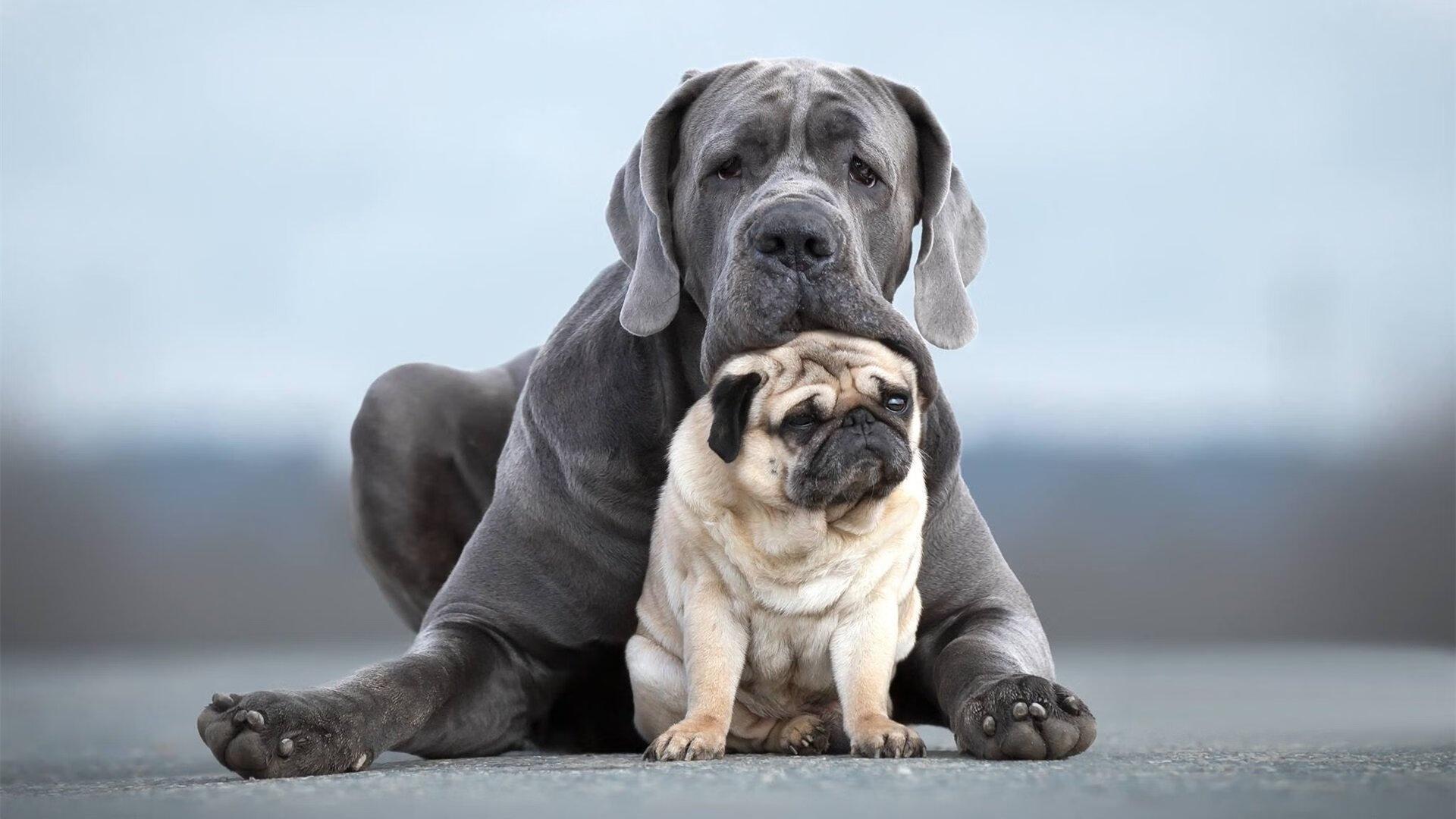 2026年必看20部大片推荐