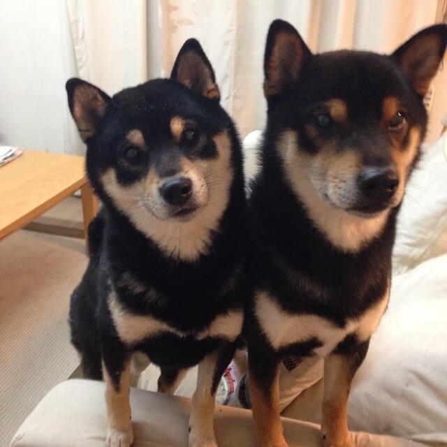 2026年必看20部大片推荐